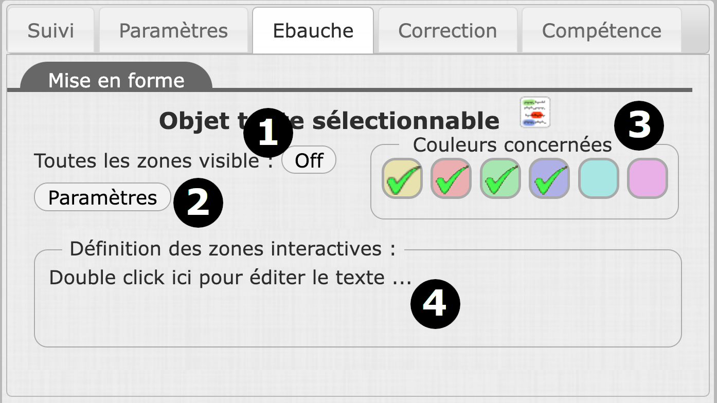 Les options de l'objet Texte sélectionnable
