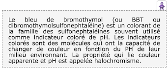 Exemple d'un objet `texte` avec l'assistant activé.